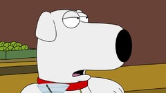 Family Guy TV series Brian Griffin