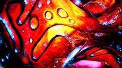 Fantasy 3d digital art