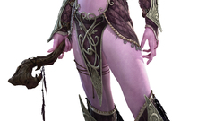 Fantasy art armor elves