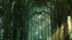 fantasy art forest Women alone Trees standing women outdoors