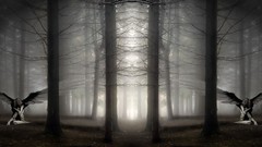 Fantasy art mirror effect