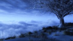 fantasy art Stars nature Trees night clouds sky