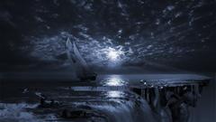 Fantasy Art You all are awesome morons