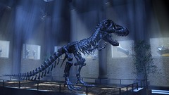 Fantasy artwork fantasy art