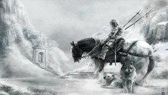 Fantasy black and white cold white Horses rider Wolves armor 