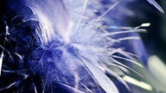 Fantasy blue simple minimalistic