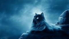 Fantasy cats Animals