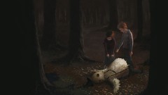 Fantasy dead children Birds drawings forests illustrations