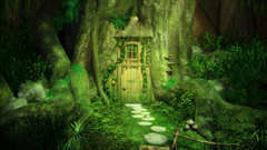 Fantasy door version have anyone does