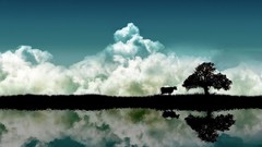 Fantasy dreams reflections