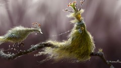 Fantasy fine feathers Fairies digital