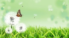 Fantasy freedom summer fantasy art