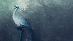 Fantasy minimalistic Birds Textures