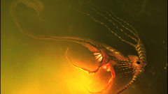 Fantasy Monsters Sea