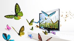 Fantasy multicolor artwork Butterflies
