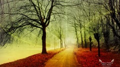 Fantasy nature autumn