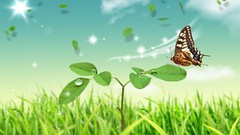 Fantasy nature drawings