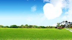 Fantasy nature drawings