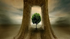 Fantasy nature surreal tree