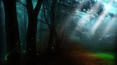 Fantasy nature Trees forests