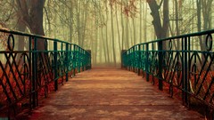 Fantasy nature Trees seasons Bridges forests reality KR