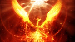 Fantasy phoenix