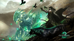 Fantasy video games guild