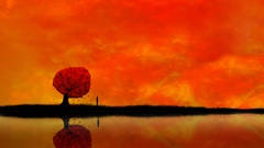 Fantasy water tree autumn reflection alone artwork