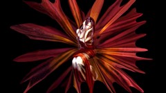 Fantasy woman Fairies