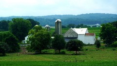 Farm amish