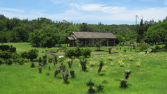 Farm scenery nature Fairyland