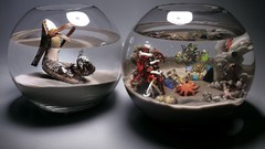 Fashion dell Photo manipulation fish bowls oro