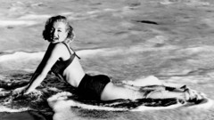 Fashion Marilyn Monroe monochrome