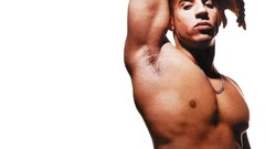 Fast and Furious muscle vin diesel