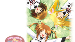 Fate Anime mahou shoujo