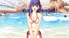 Fate series fate stay