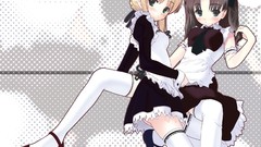 Fate series fate stay