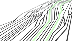 Fate series fate stay