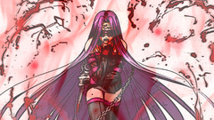 Fate series fate stay