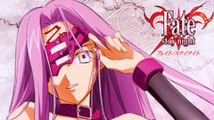 Fate series fate stay