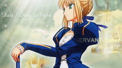 Fate series fate stay