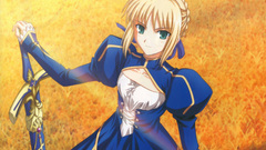 Fate series fate stay