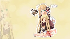 Fate series fate stay