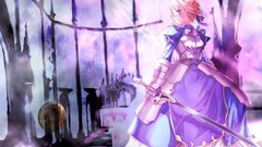 Fate series fate stay