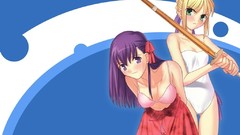 Fate series fate stay