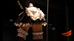 Fate series fate stay