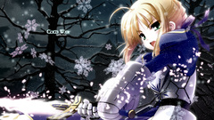 Fate stay night Anime