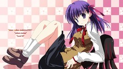 Fate stay night Anime