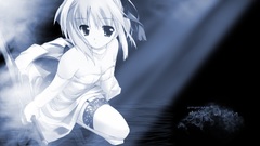 Fate stay night Anime