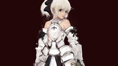 Fate stay night armor